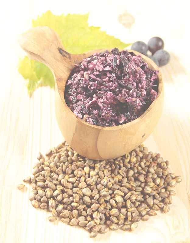 Grape seed oil - <br>extremely rich in Essential Fatty Acids (EFAs) and vitamin E is a potent source of antioxidants (flavonoids, lecithin) having powerful protection effect. Leaves the skin feeling hydrated, soft, smoothed and soothed.